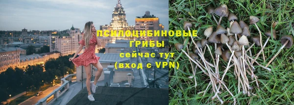 дурь Белоозёрский