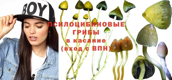 дурь Белоозёрский