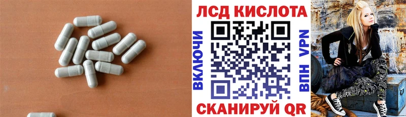 как найти наркотики  Елизово  omg ссылка  Лсд 25 экстази кислота 
