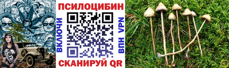 Псилоцибиновые грибы ЛСД  Елизово 